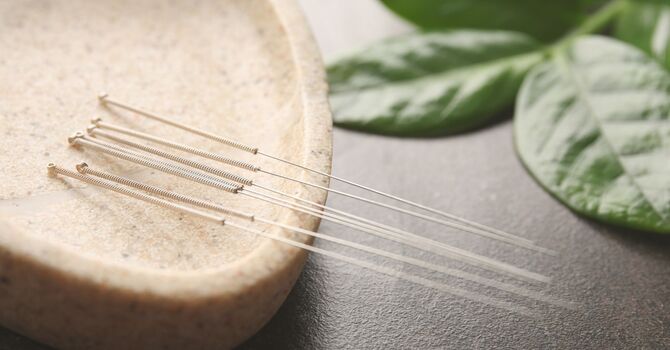 Chinese Herbal Medicine